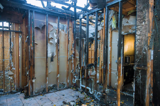 Professional Smoke Damage Removal technician working in London, OH